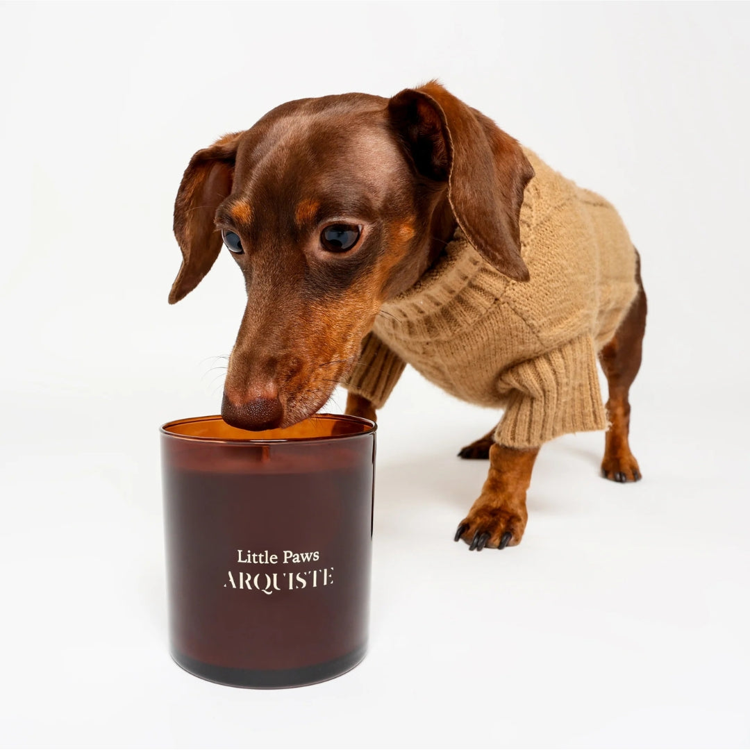 Little Paws Candle