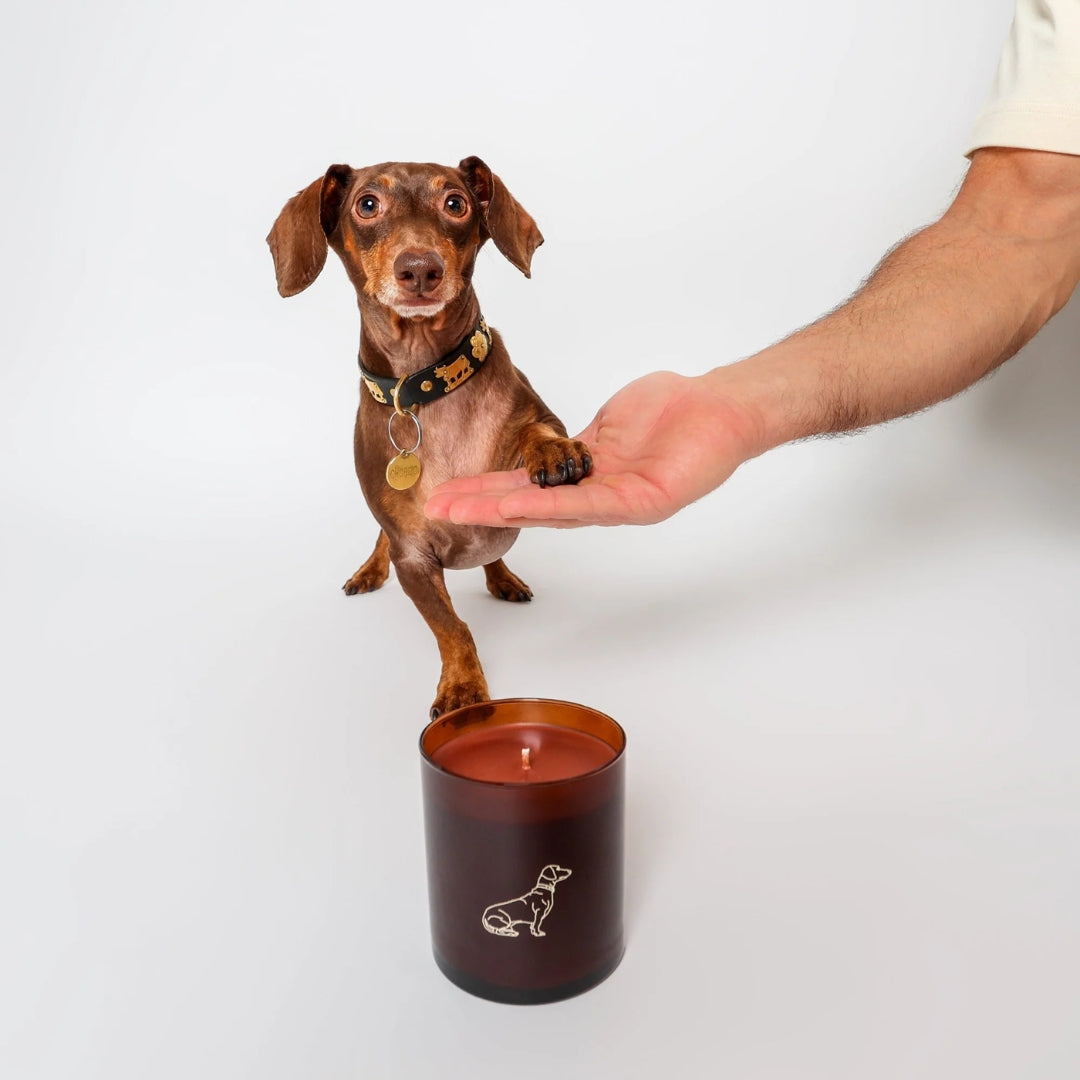 Little Paws Candle