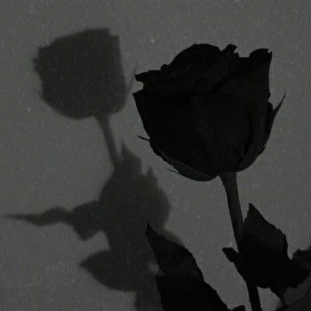 Lost Lovers